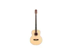 Bass Leonard Acustic LB-429E N main image