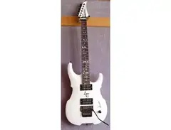 Capelli Guitars Luca Turilli Custom Model