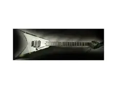 Ran Guitars Custom Invader main image