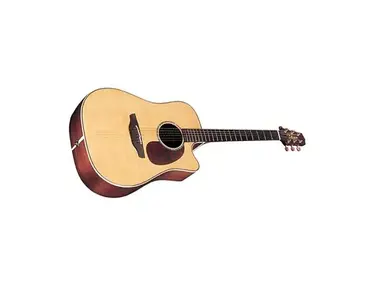 Takamine TAN16C