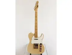 Vorg by Pearl Telecaster