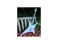 Roehrs Guitars Custom Raider main image