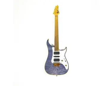 Vigier Excalibur Surfreter Fretless Guitar