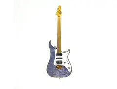 Vigier Excalibur Surfreter Fretless Guitar