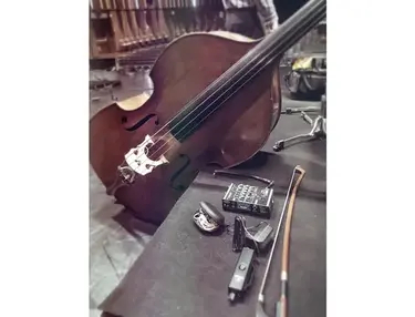 Max Enders Mainz German Vintage Double Bass