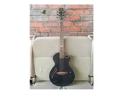 ESP Eclipse Semi-Hollow Acoustic main image