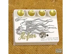 Hofner (Höfner) Sound of the 60s Reverb main image