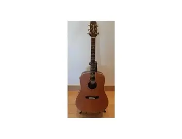 Condor Guitars D15 Acoustic Guitar