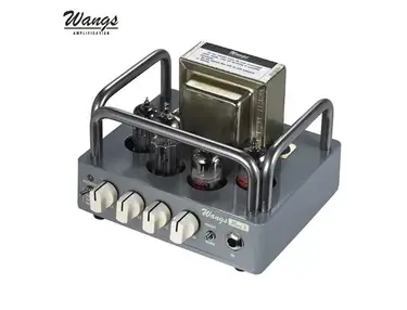 Biyang Wangs Mini 5