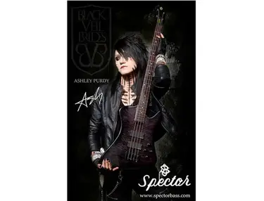 Spector Legend 4x