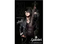 Spector Legend 4x main image