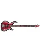 Aria IGB-40 main image