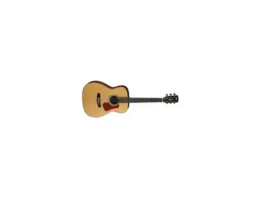 Cort L100C