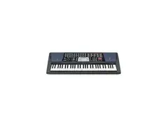 Casio CTK-501 main image
