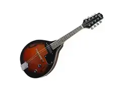 Freedom acoustic/electric Mandolin MT30 main image