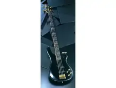 Fernandes APB-90 Bass main image