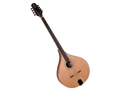 Irish Bouzouki (General, Not brand specific)