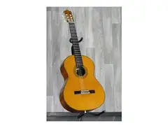 Ibanez GA 400 S main image
