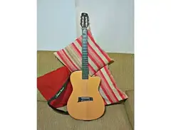 Fox V2N Acoustic Nylon Guitar main image