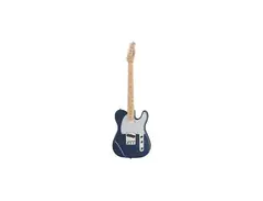 Harley Benton TE-20 BM main image