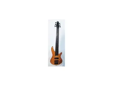 Ibanez SDGR 506 Fretless