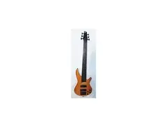 Ibanez SDGR 506 Fretless main image
