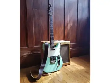 Fender American Professional Telecaster Limited Edition Rosewood neck 2017