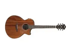 Ibanez AE295 Acoustic Guitar