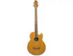 Harmonia Acoustic Bass main image