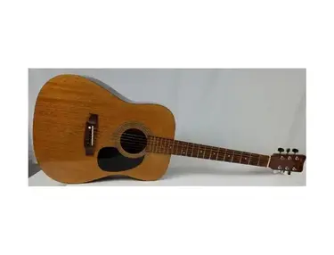 Hohner HW300G