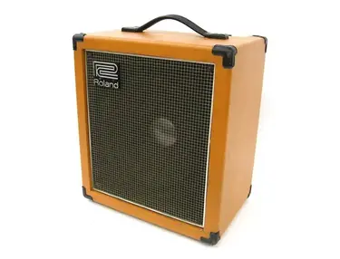 Roland CUBE 100
