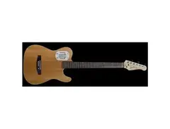 Godin A6 main image