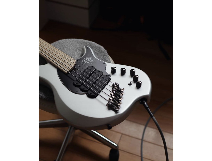 ベース Dingwall NG-3 Limited Darkgrass 10th Dingwall Limited Edition Darkglass 10th Anniversary NG-3 - What To