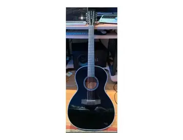 Auden Chester 12-String