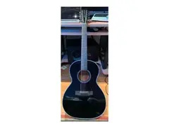 Auden Chester 12-String main image
