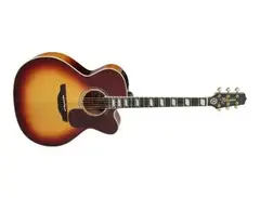 Takamine EF250TK