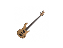 Dean E1PJ main image