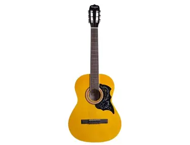 Guitarra acústica Vizcaya ARFG94