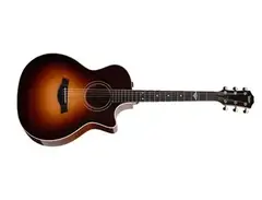 Taylor 314ce Grand Auditorium (The Last of Us Part II)