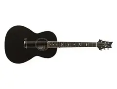 PRS SE P20E