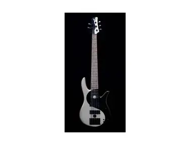 Fodera Ying Yang 5 Standard