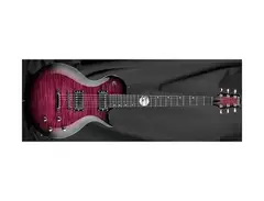 Kiesel Custom Shop WS6S Will Swan Signature