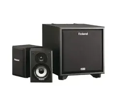 Roland-CM-220-CUBE-Monitor-21-Monitorsystem-200W main image