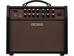 Boss Acoustic Singer Live LT