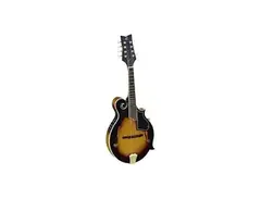 Ortega RMF90TS F-Style Mandolin main image