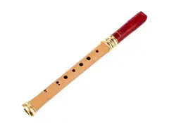 Mol­le­n­hauer 1119R Adris Dream Recorder main image