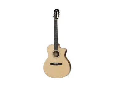 Taylor 214ce-N
