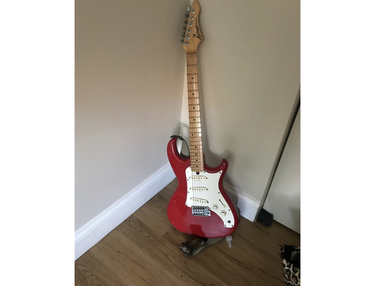 Aria pro 2 rs standard