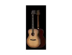 PRS SE T40E