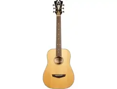 D'Angelico Premier Utica main image